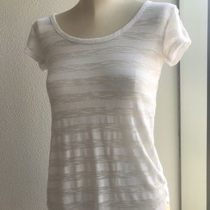 Sheer Backless Tee